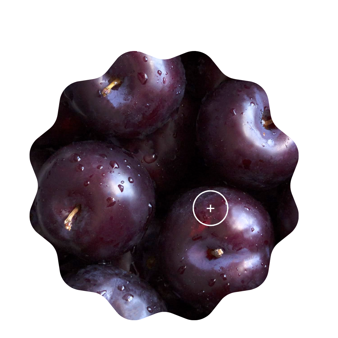 plum pudding